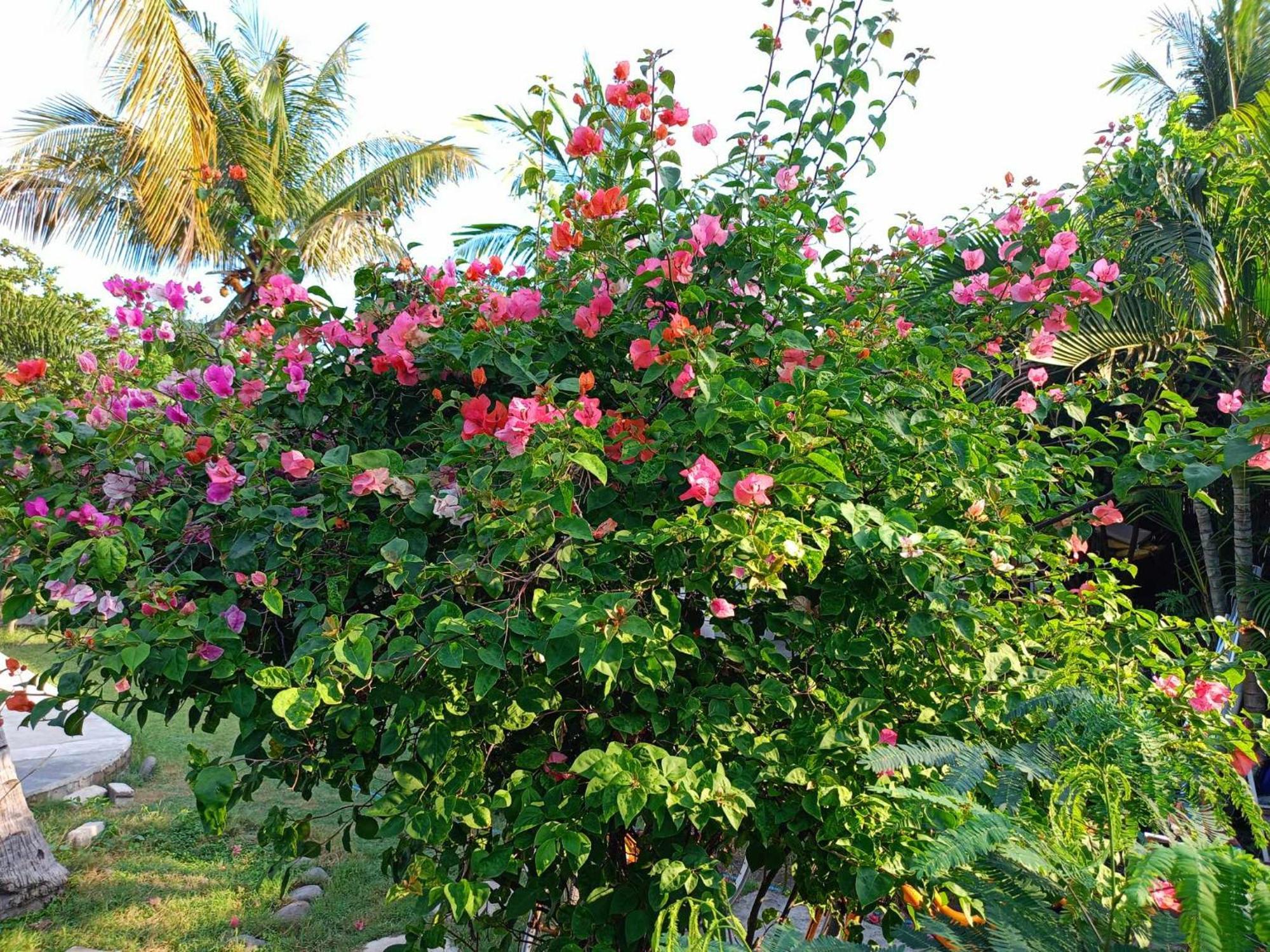Bintang Tiga Bungalows Gili Air Exteriér fotografie